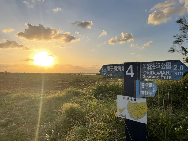 田皆岬の夕日