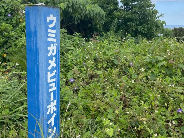 沖永良部島のウミガメビューポイント