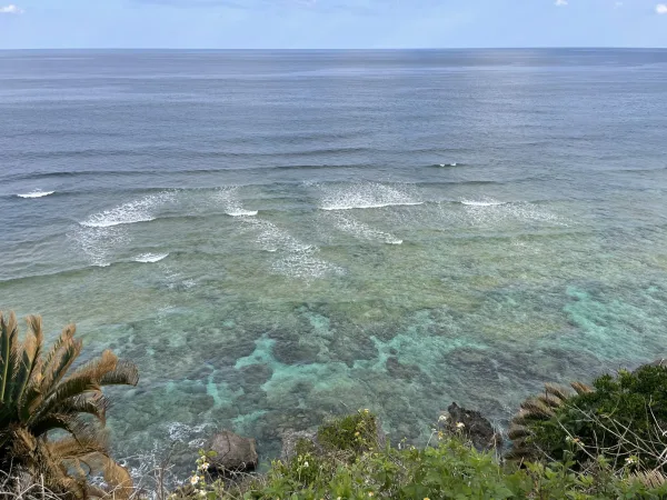 沖永良部島のウミガメビューポイント