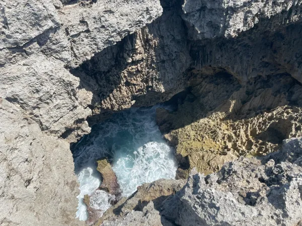 沖永良部島のフーチャ