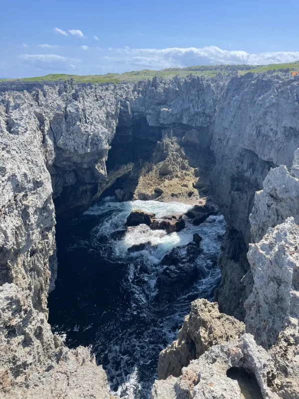 沖永良部島のフーチャ