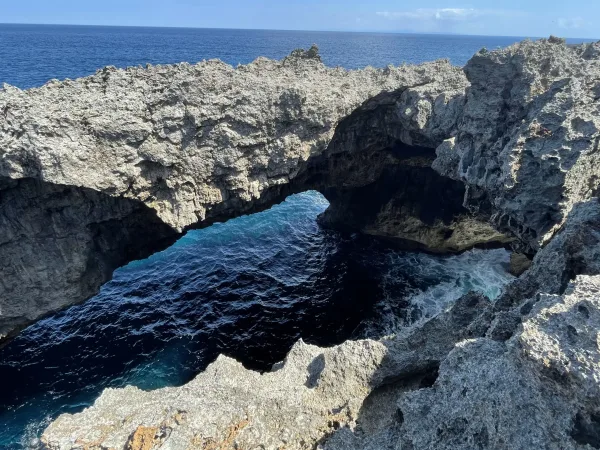 沖永良部島のフーチャ