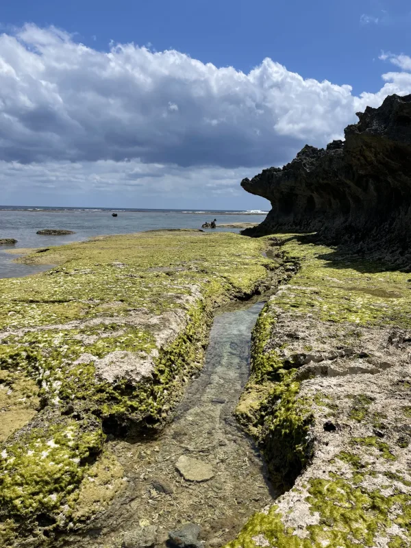 笠石海浜公園の海岸の地形