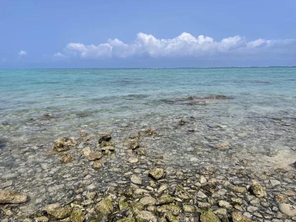 大金久海岸の海