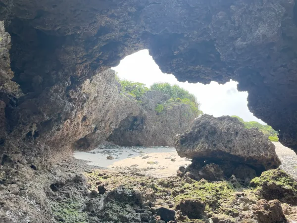 大金久海岸の岩の地形