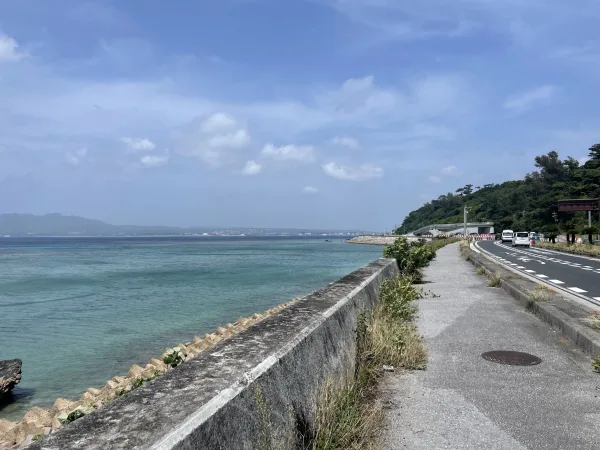 名護市の海沿いの道路