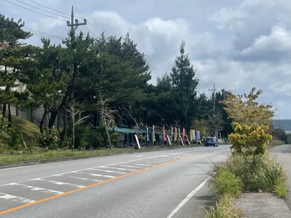 辺野古で座り込みする人々