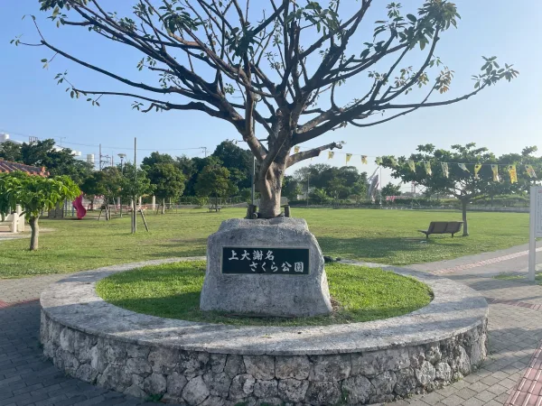 上大謝名さくら公園