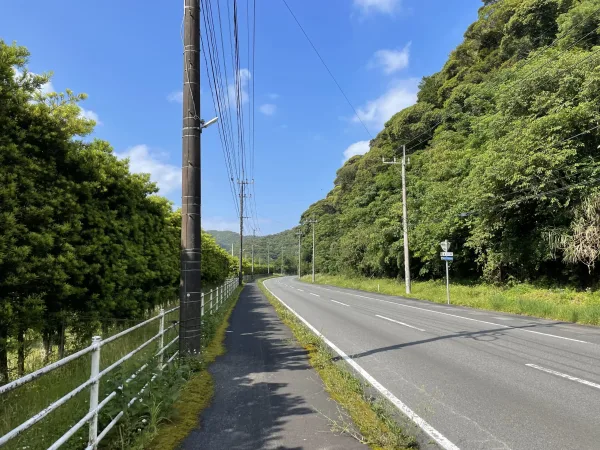 奄美大島の国道58号線の山道