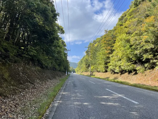 奄美大島の国道58号線の山道