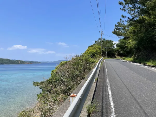 加計呂麻島の道