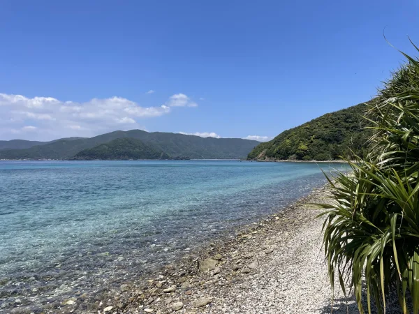 加計呂麻島の渡連集落の海岸