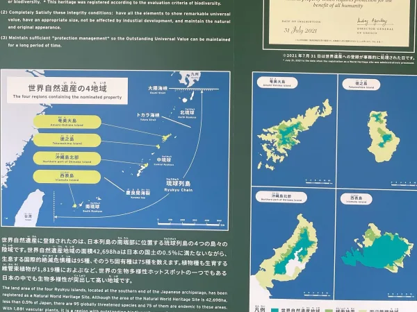 奄美大島世界遺産センター内部の展示