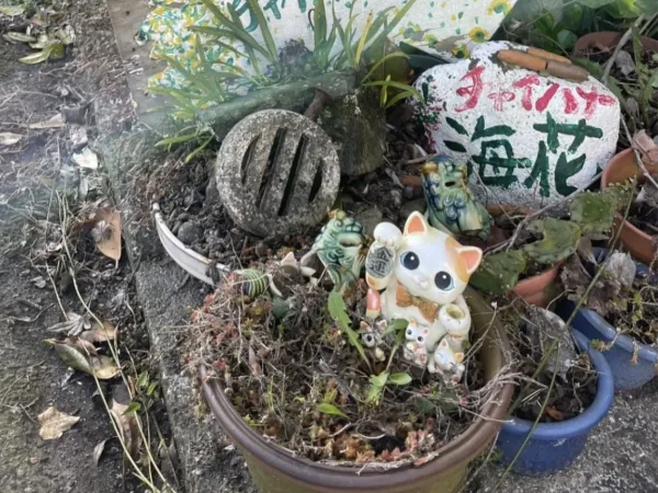 チャイハナの前の植木鉢