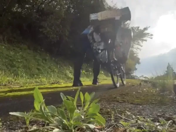 国道448号線の坂を登る自転車