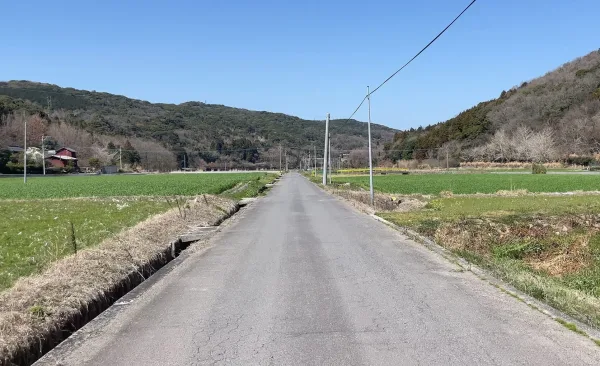 ミツマタ群生地に続く道