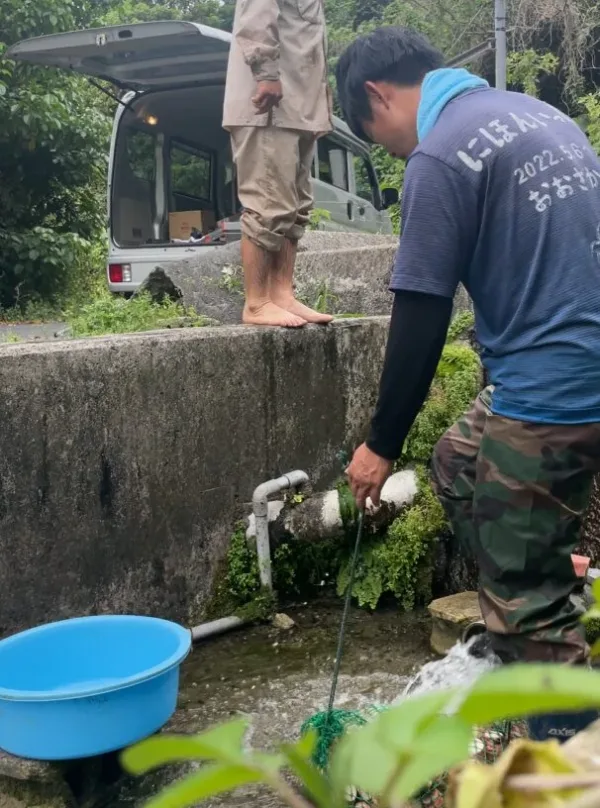 ウムを水洗いする様子