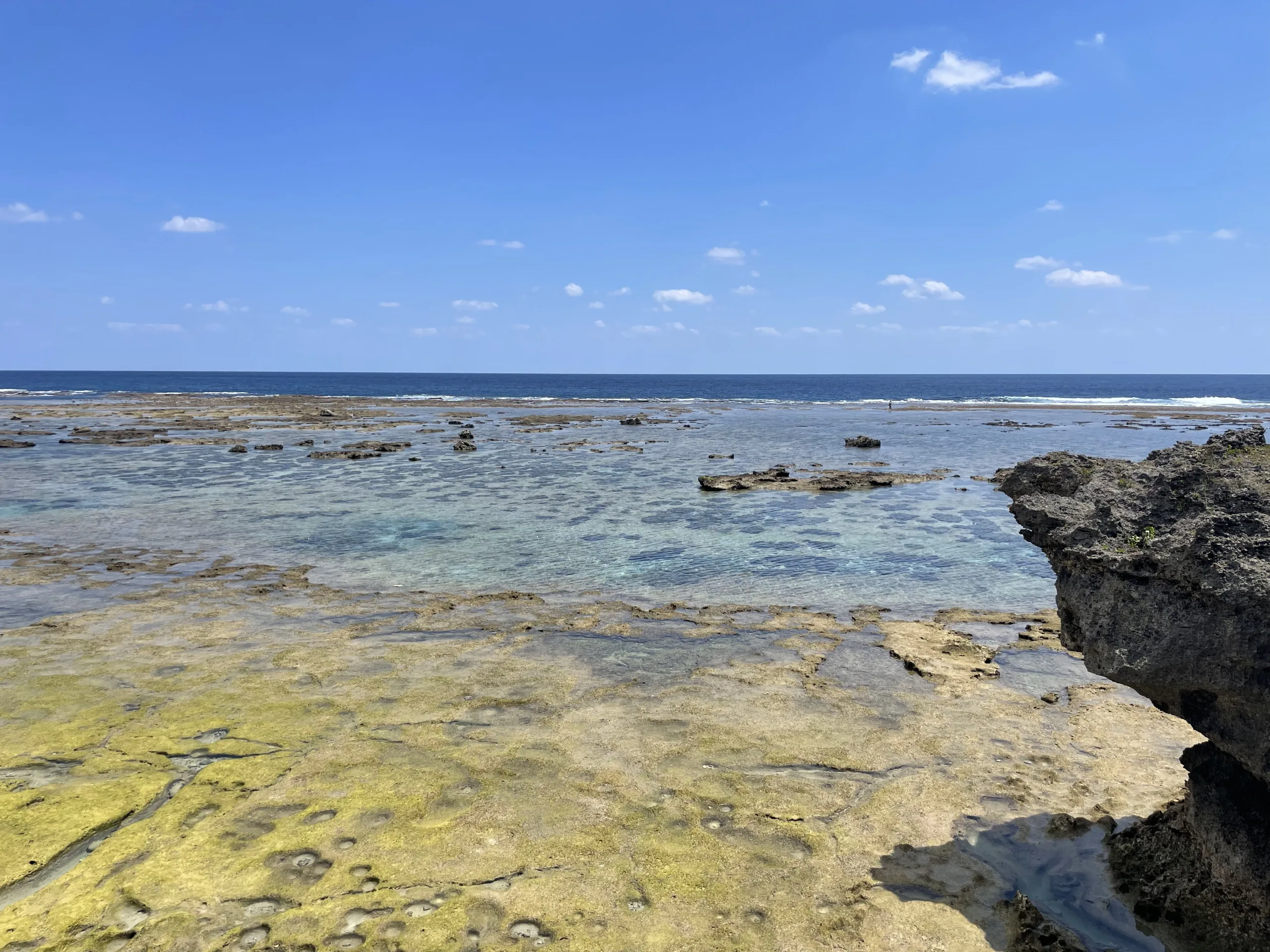 沖永良部島の海