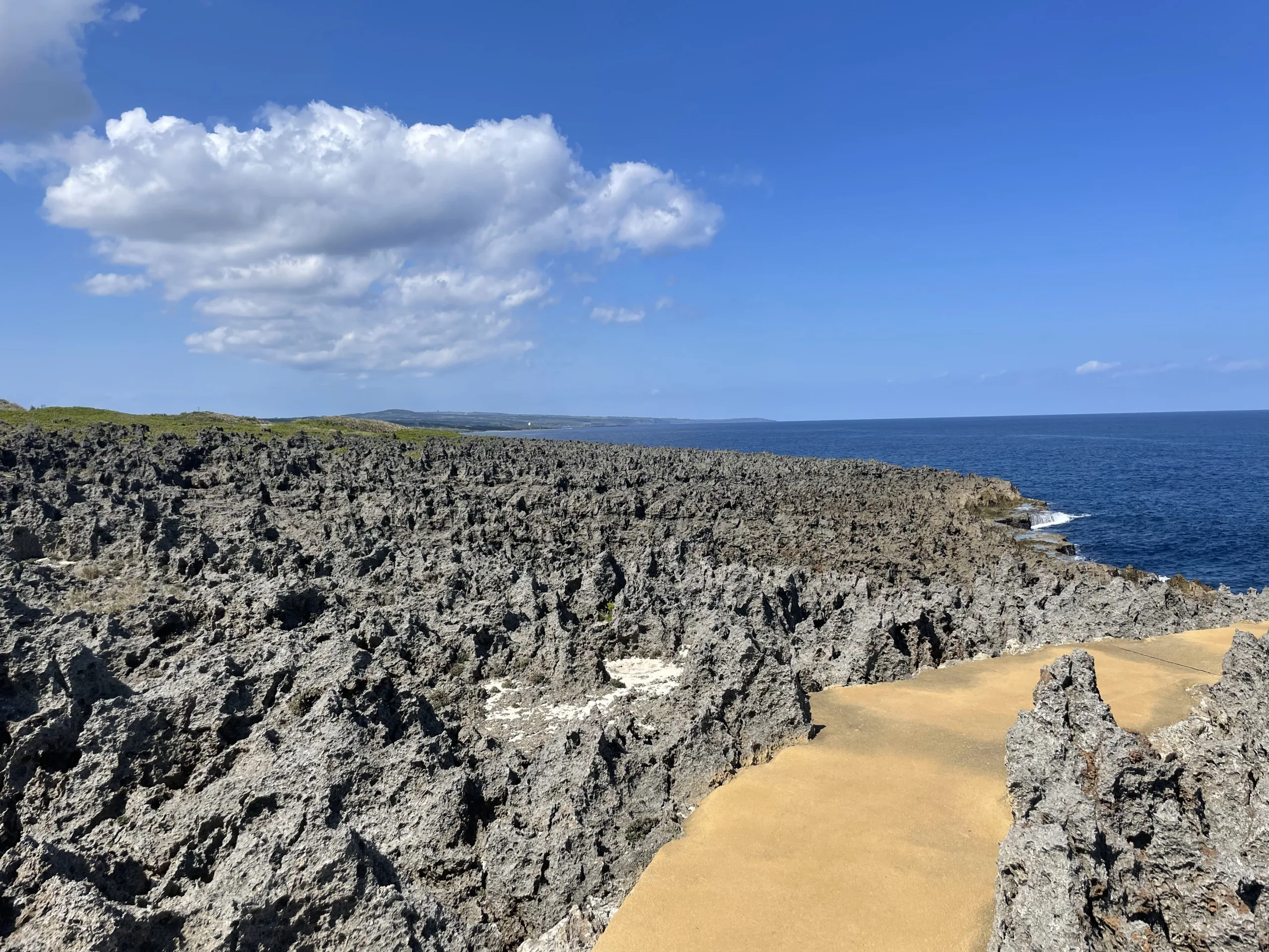 沖永良部島のフーチャ