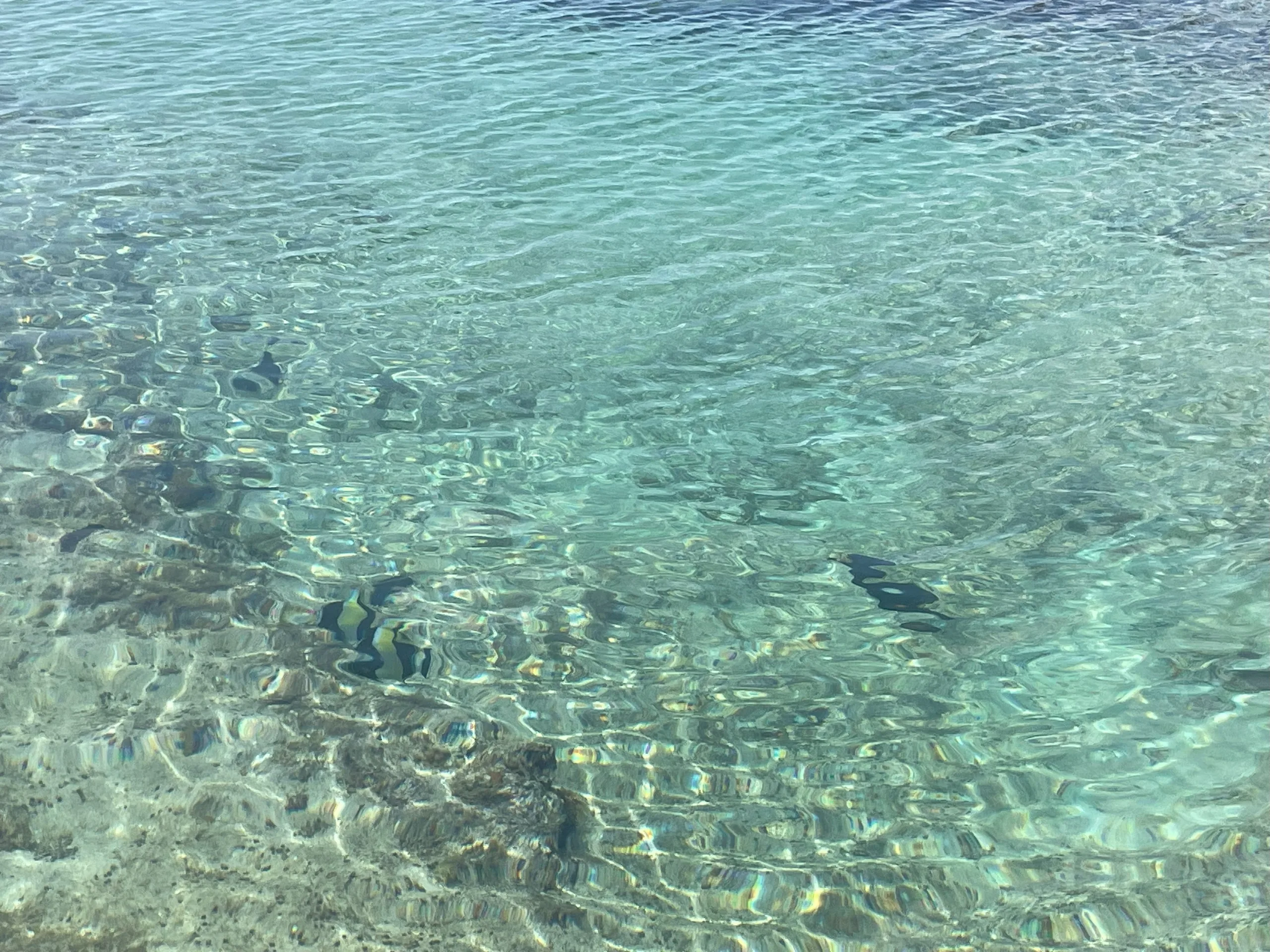 笠石海浜公園の海岸の海