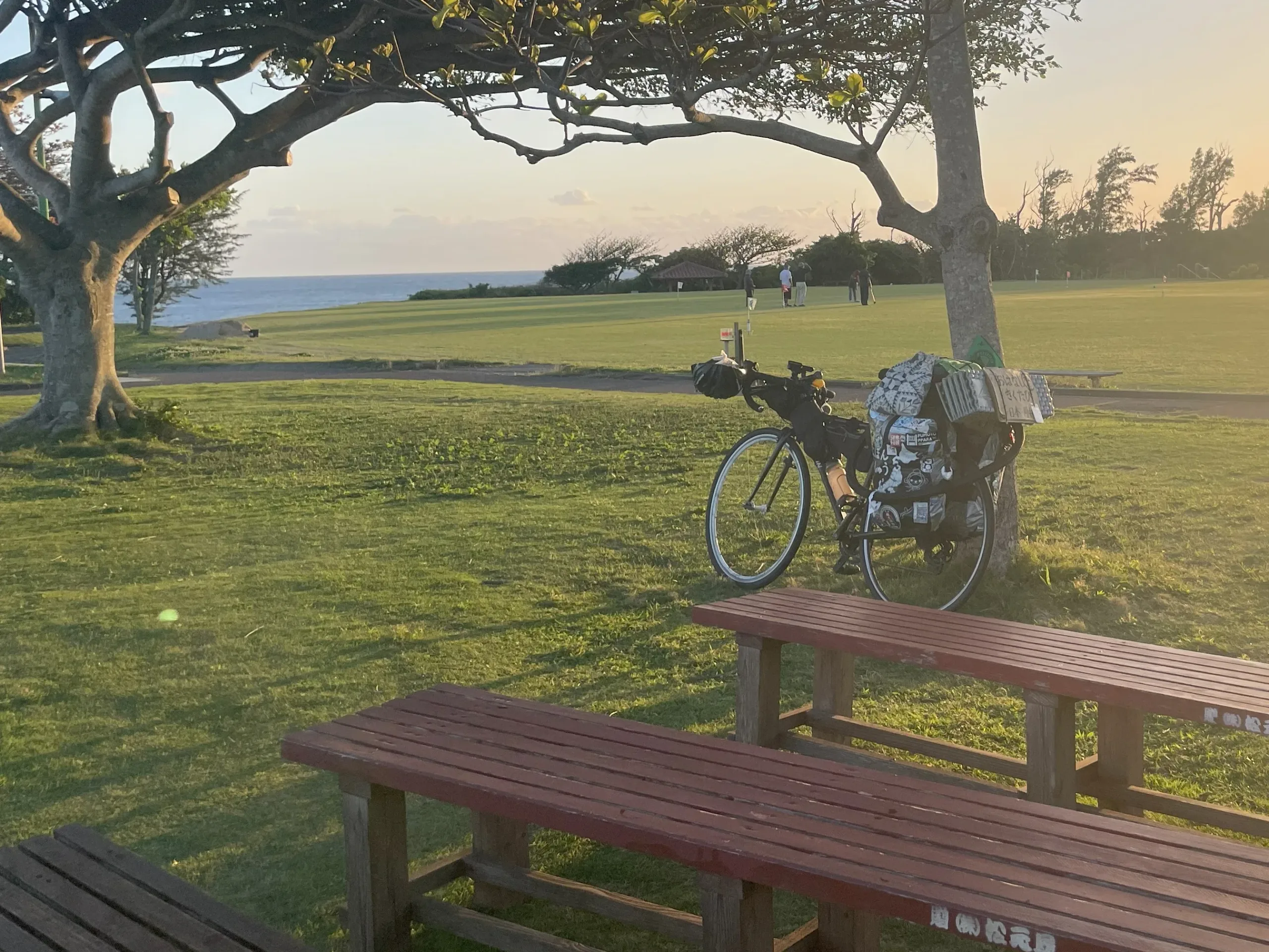 フローラルパークに止めた自転車