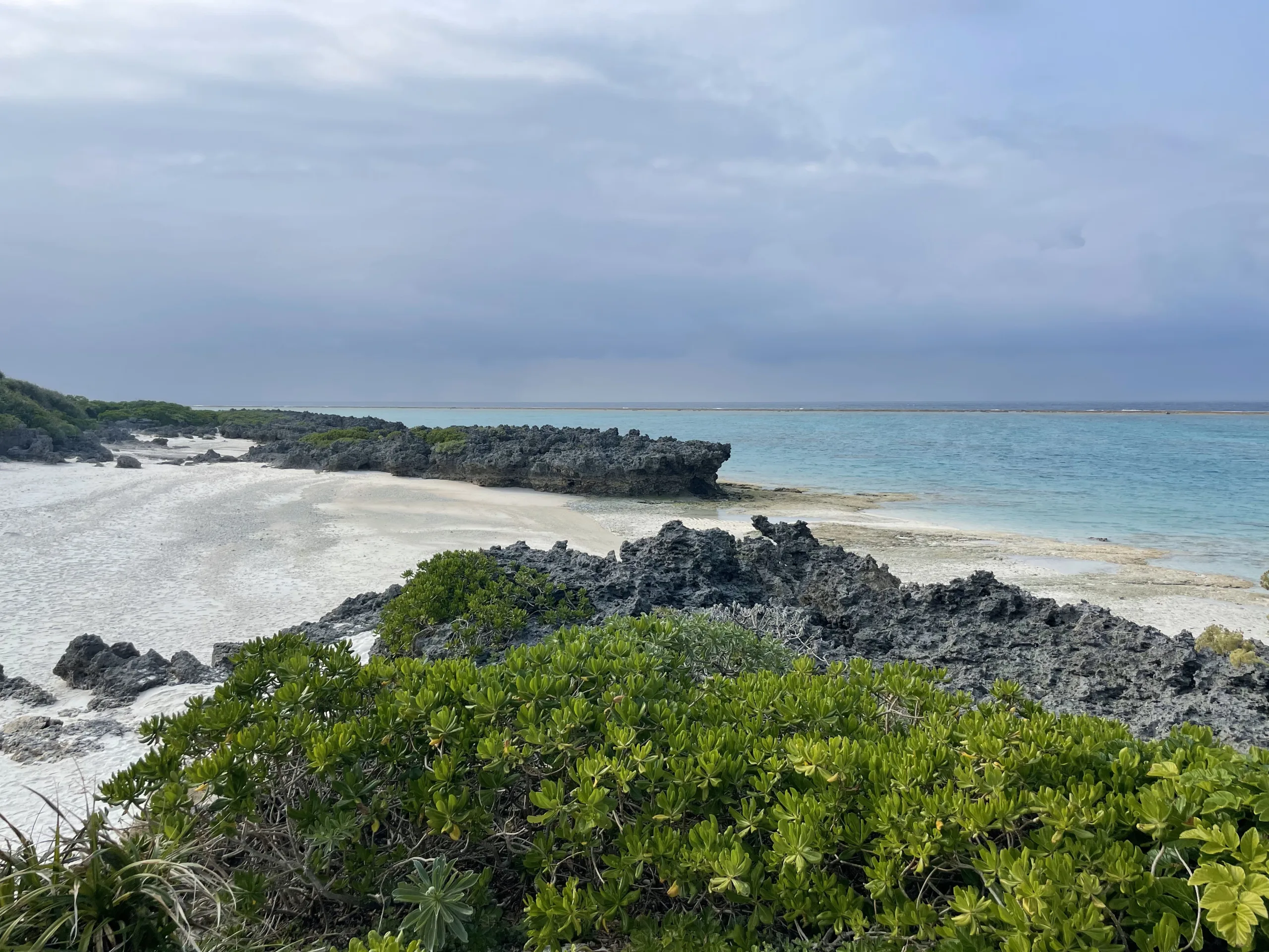 与論島の寺崎海岸