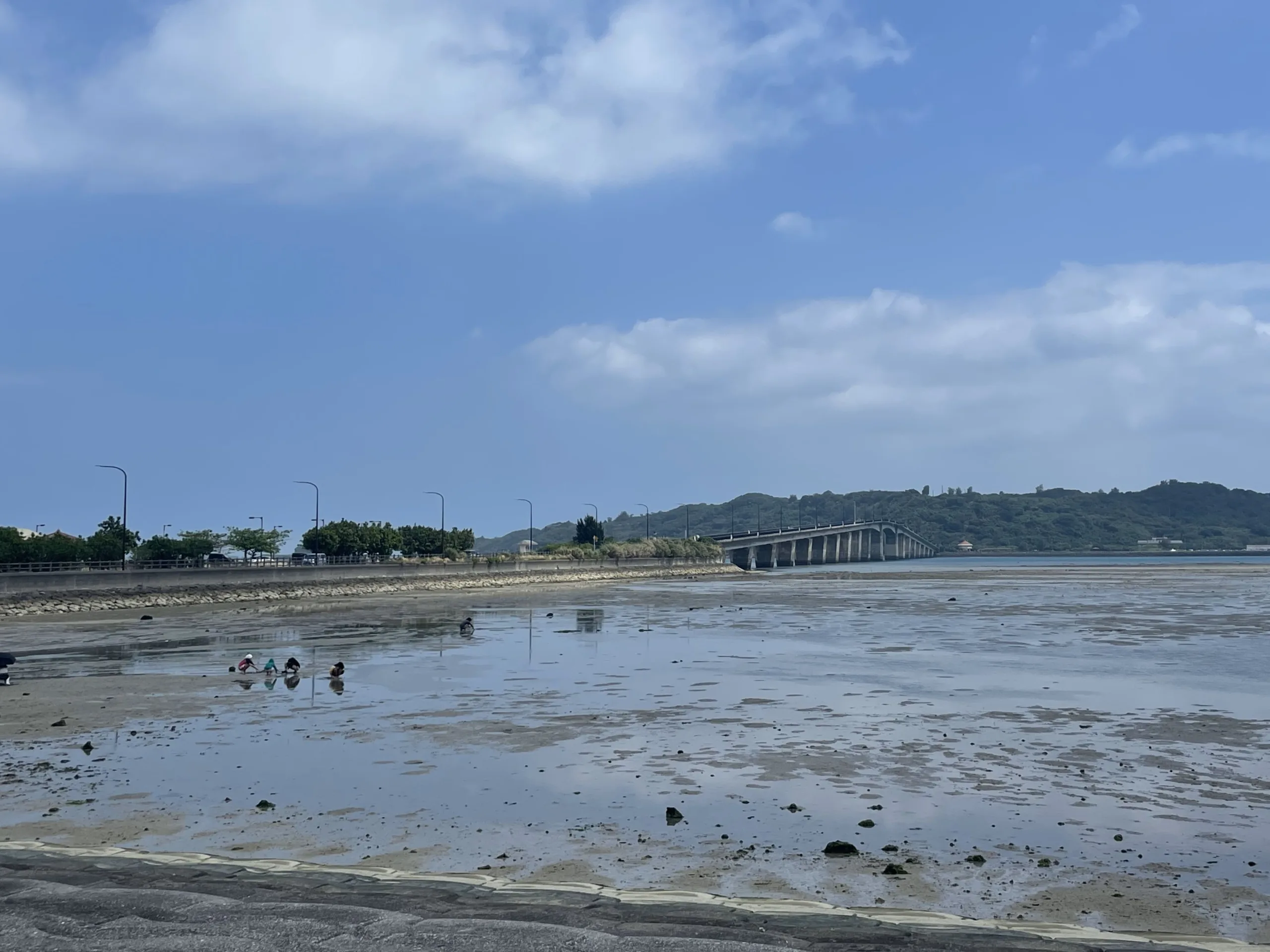 海中道路の干潟で潮干狩りする方