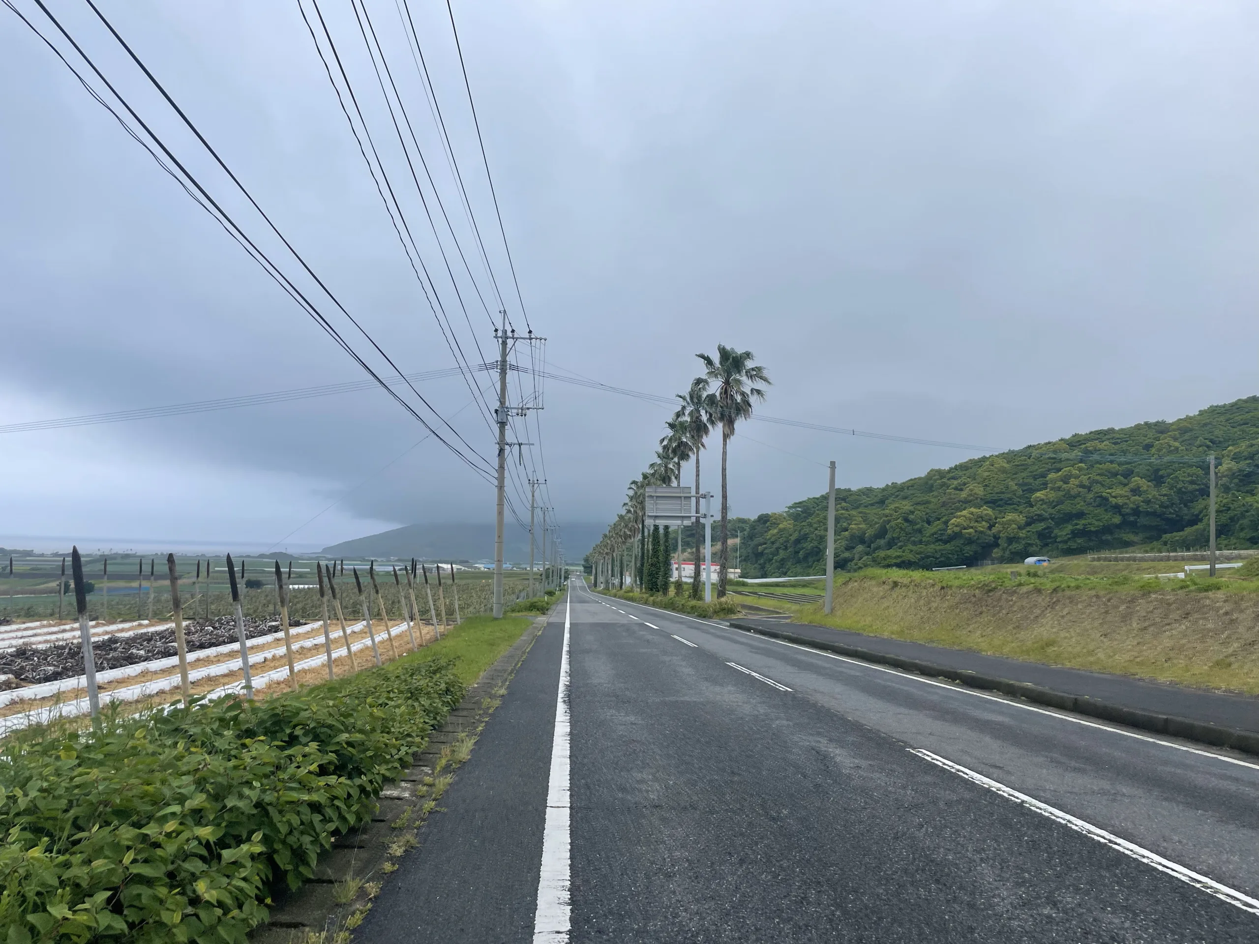 薩摩半島の国道226号線から見た開聞岳