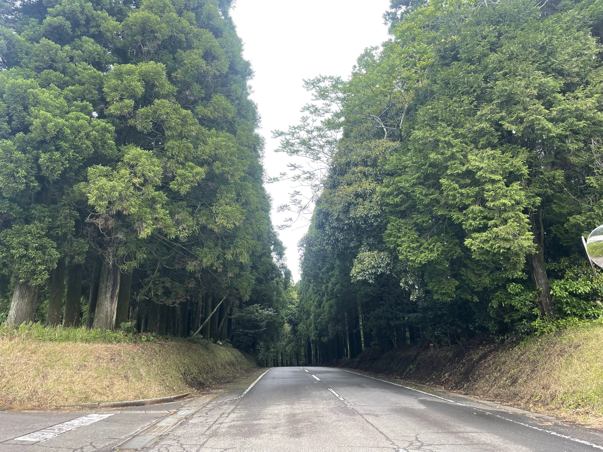 知覧の三角兵舎跡近くの道路