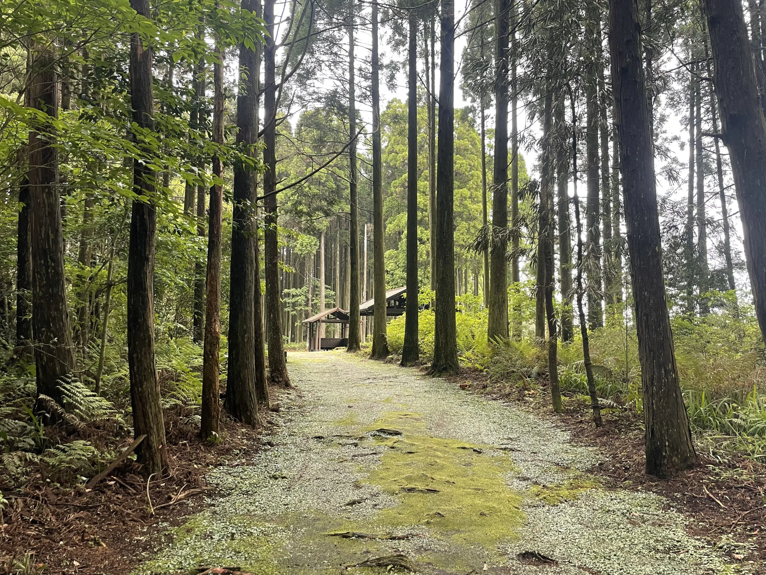 知覧の三角兵舎跡