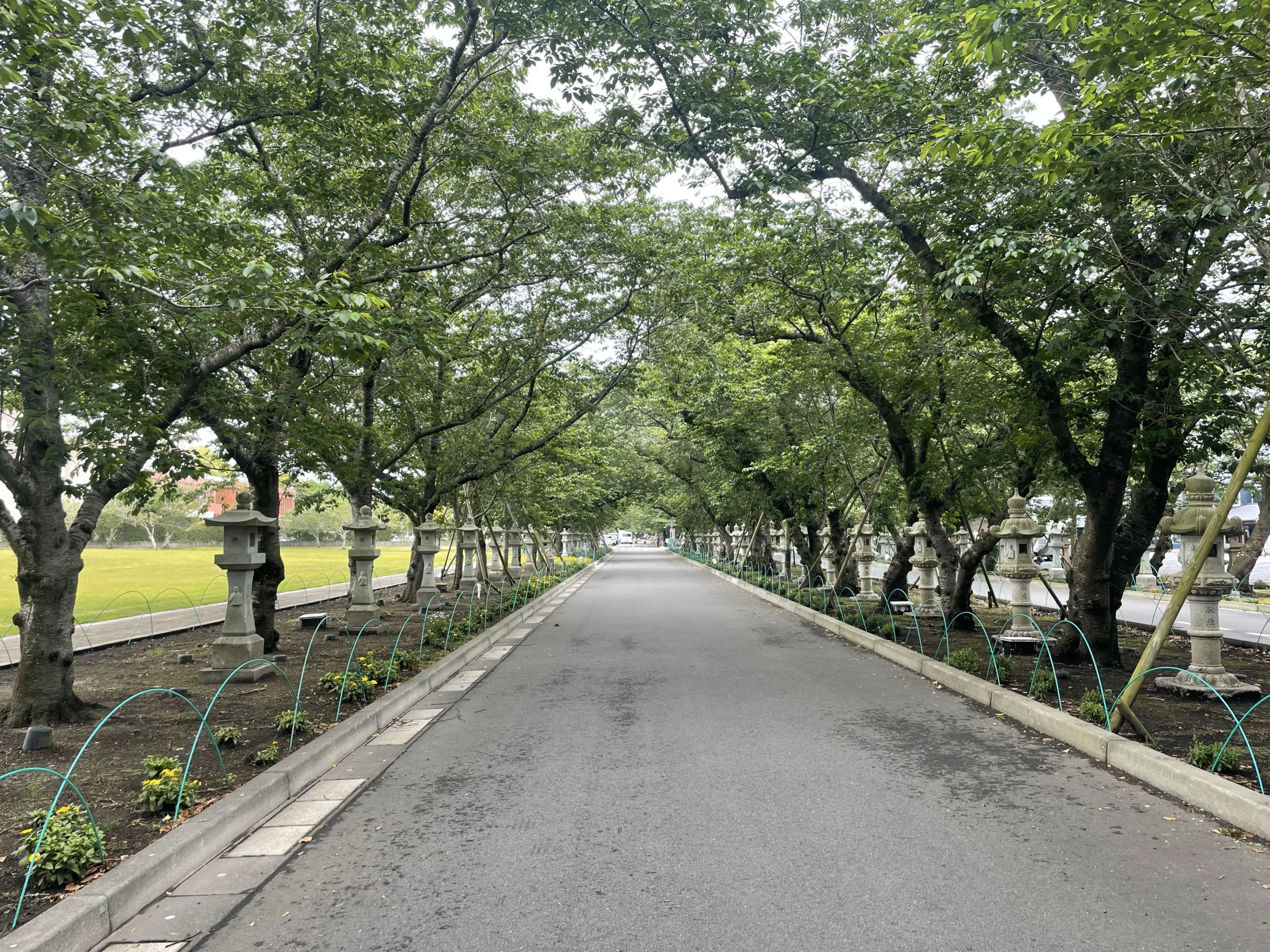 特攻平和会館前の道