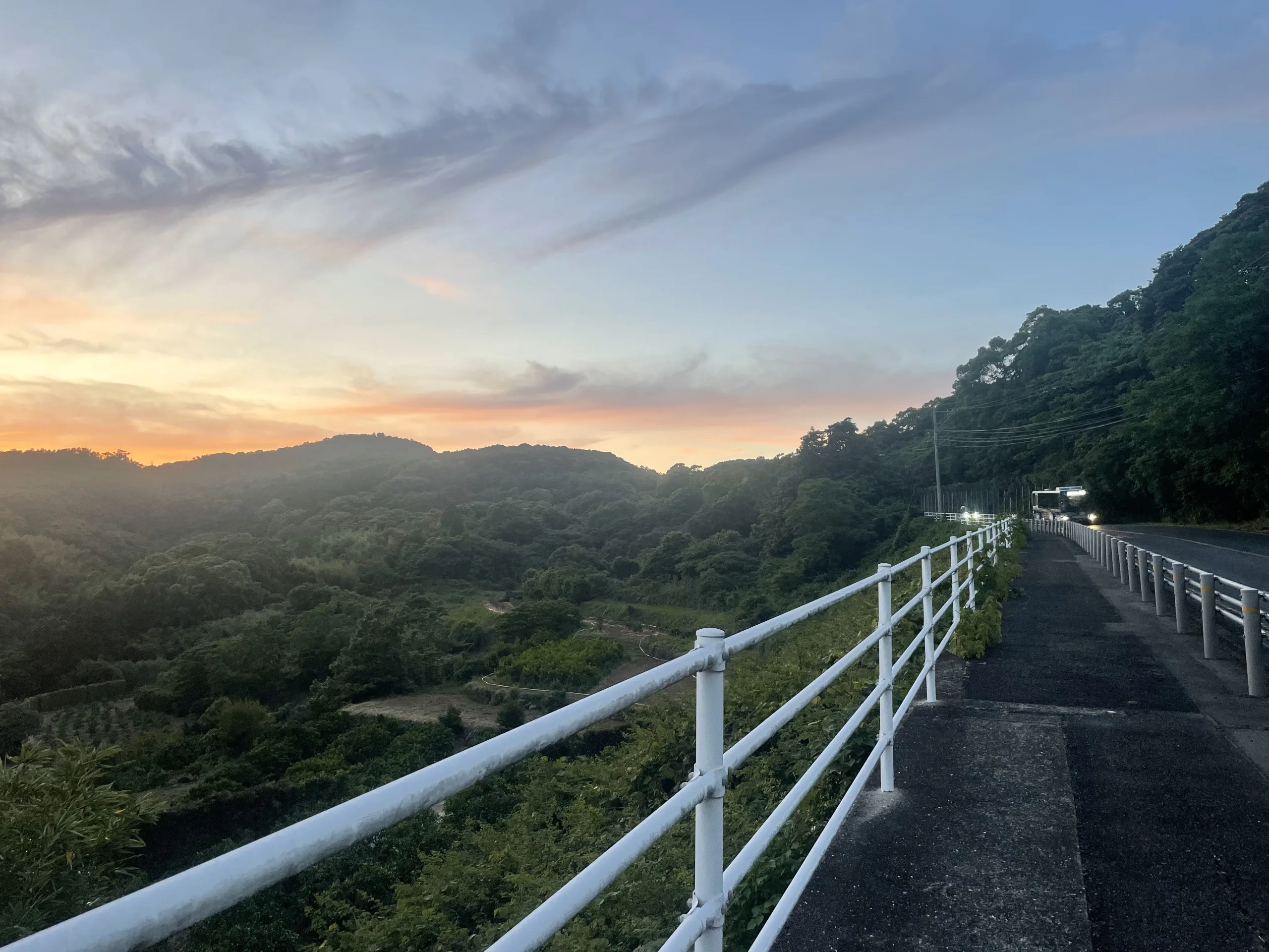 国道2020号線の歩道