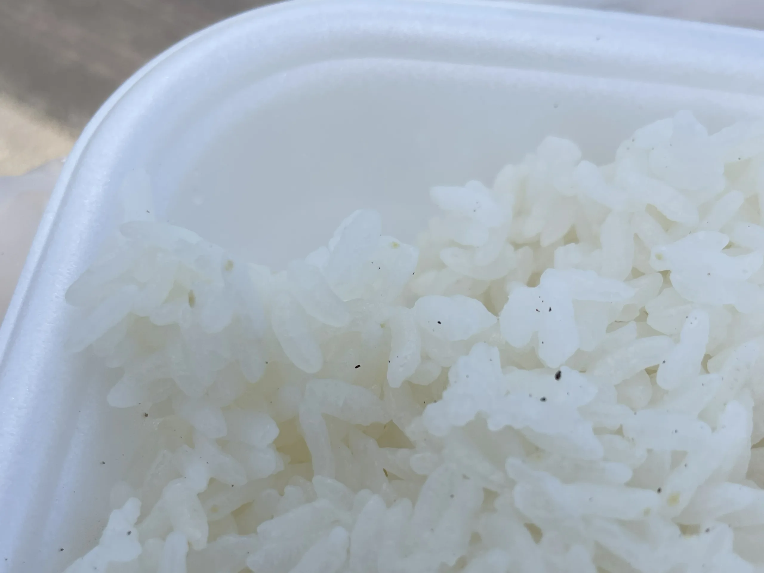 から揚げ弁当のご飯についた砂