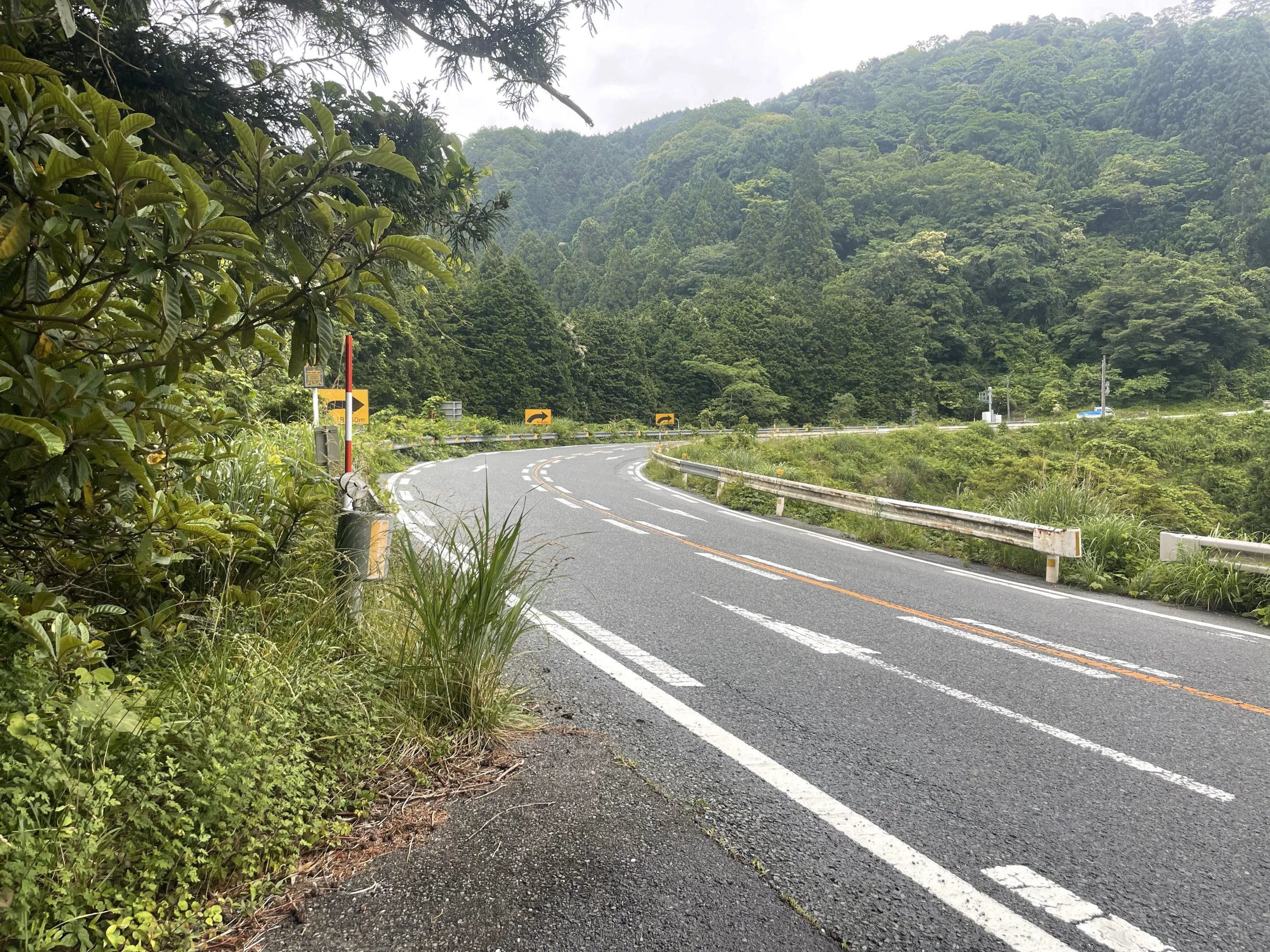 萩までの国道191号線の山道