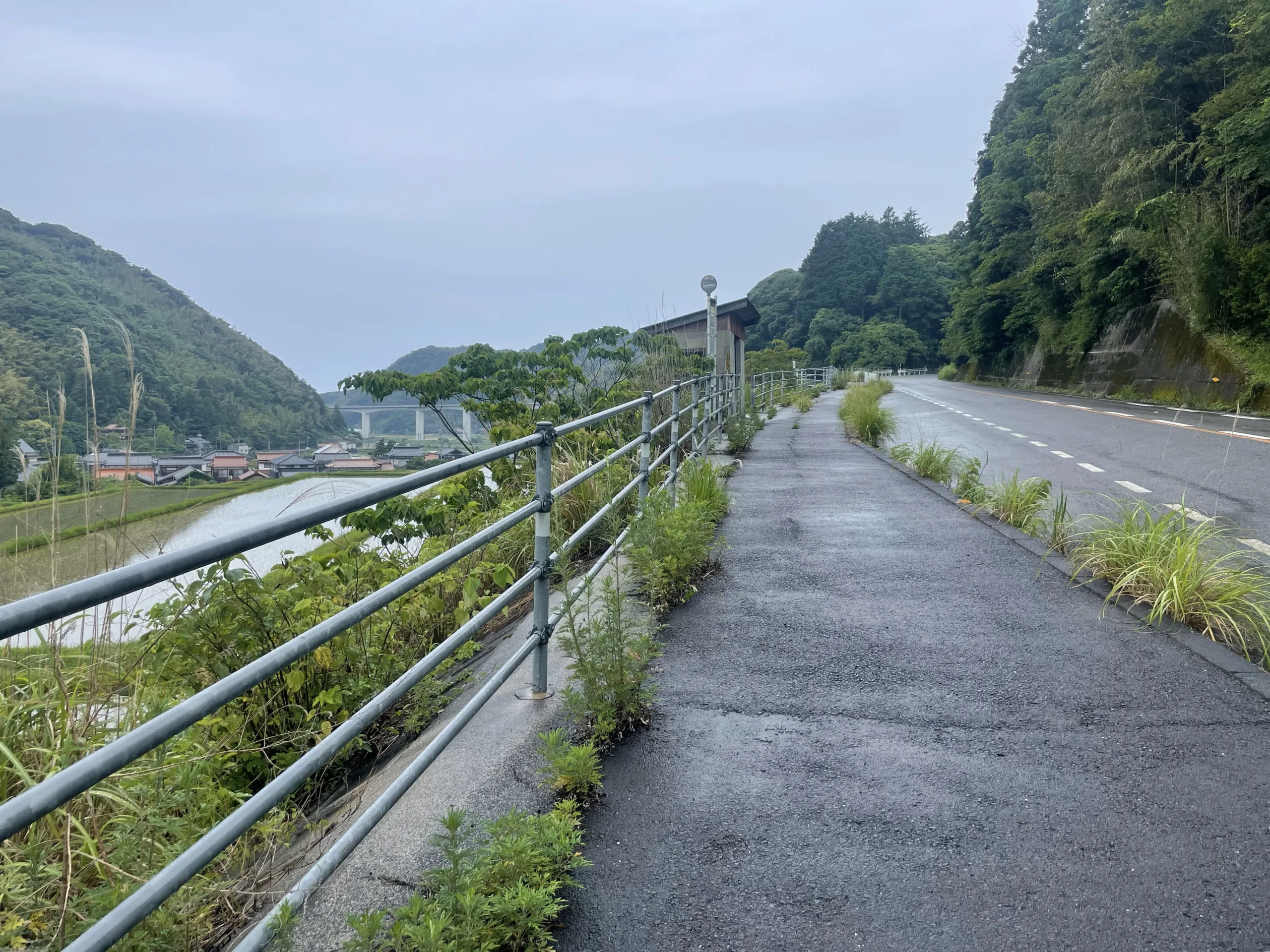 萩までの国道191号線