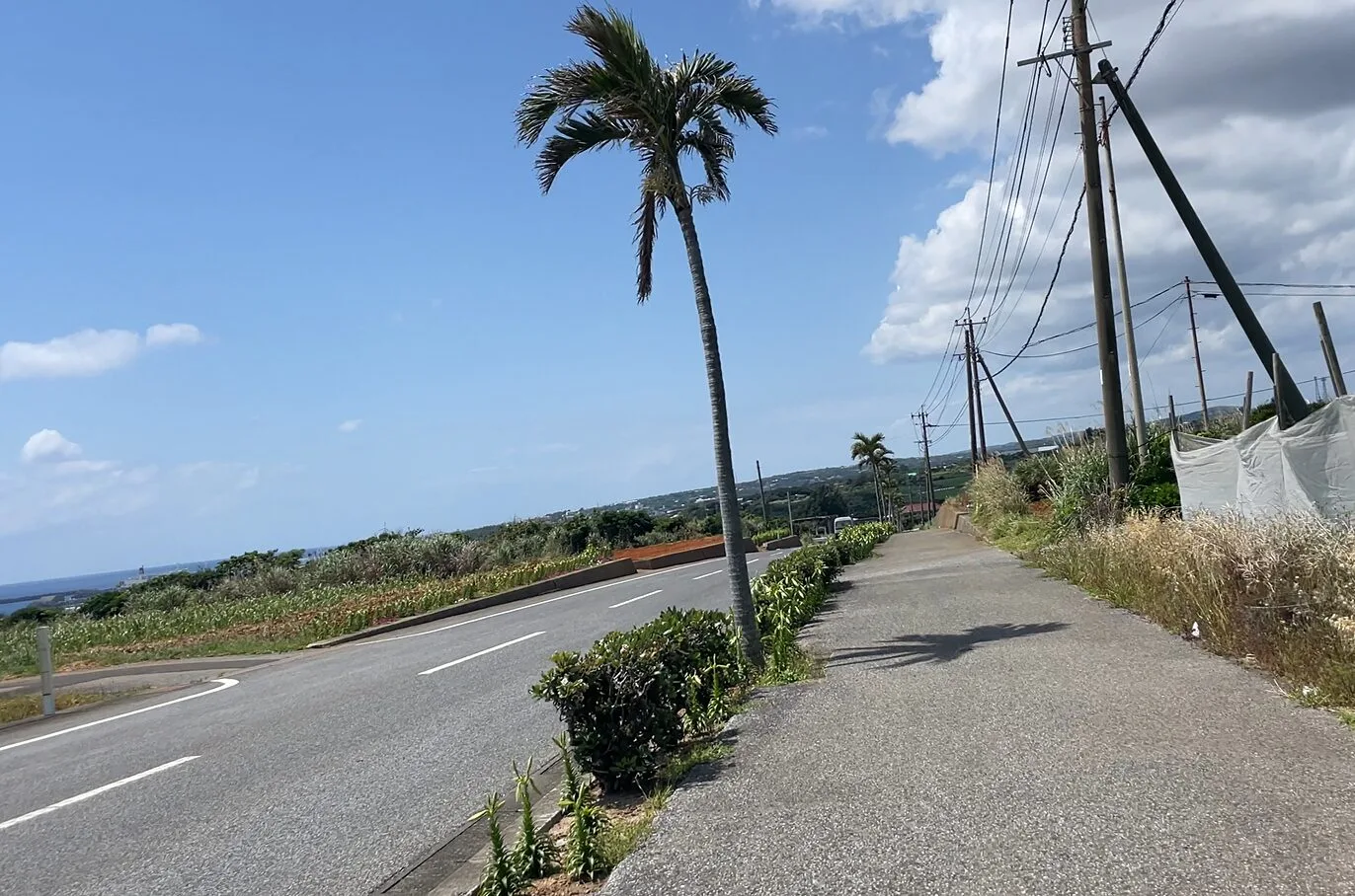 沖永良部島の道