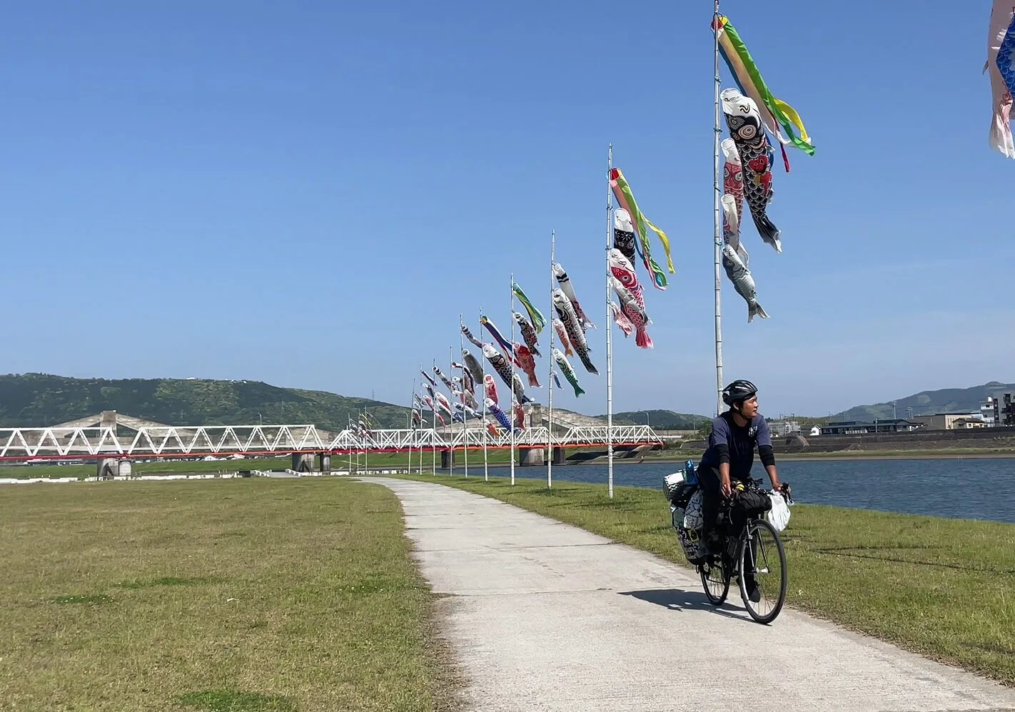 川内川の河川敷の鯉のぼりと自転車