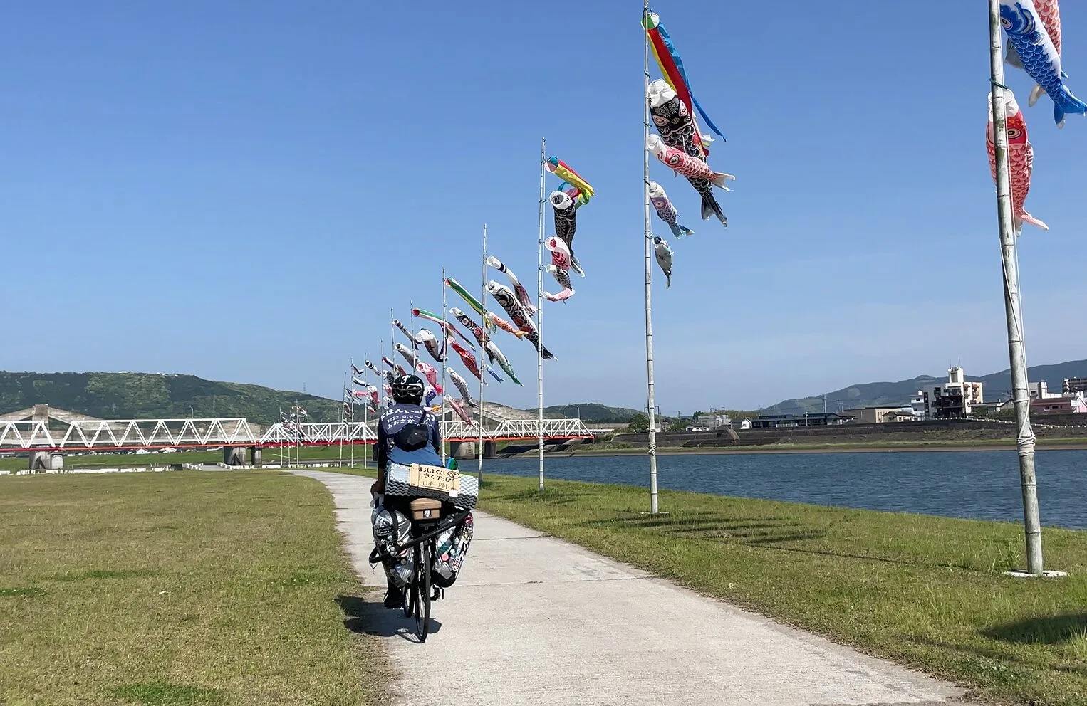 川内川の河川敷の鯉のぼりと自転車