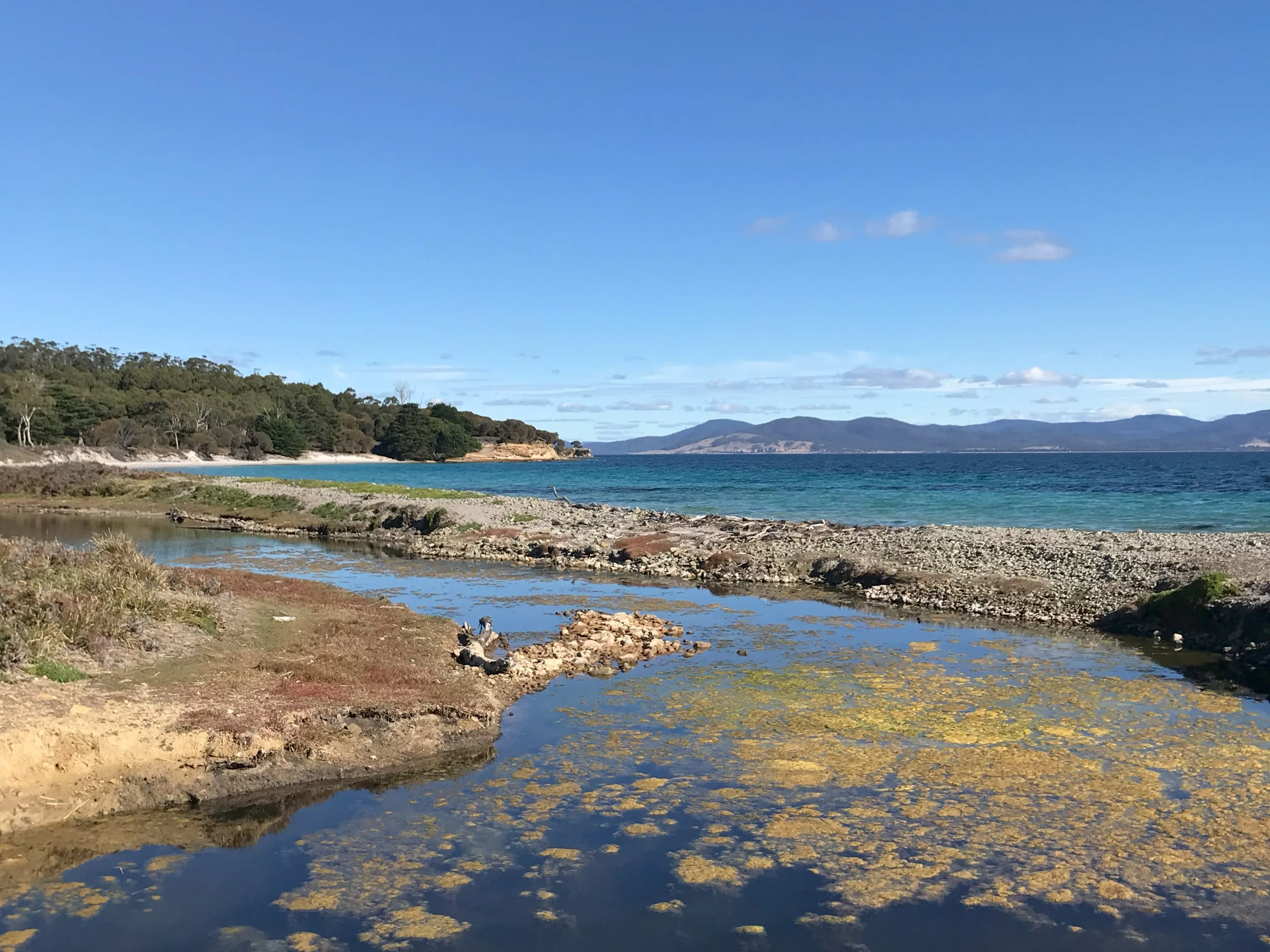タスマニアのマリア島の海岸