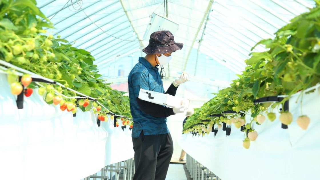 ちょ移住のピックアップ画像４