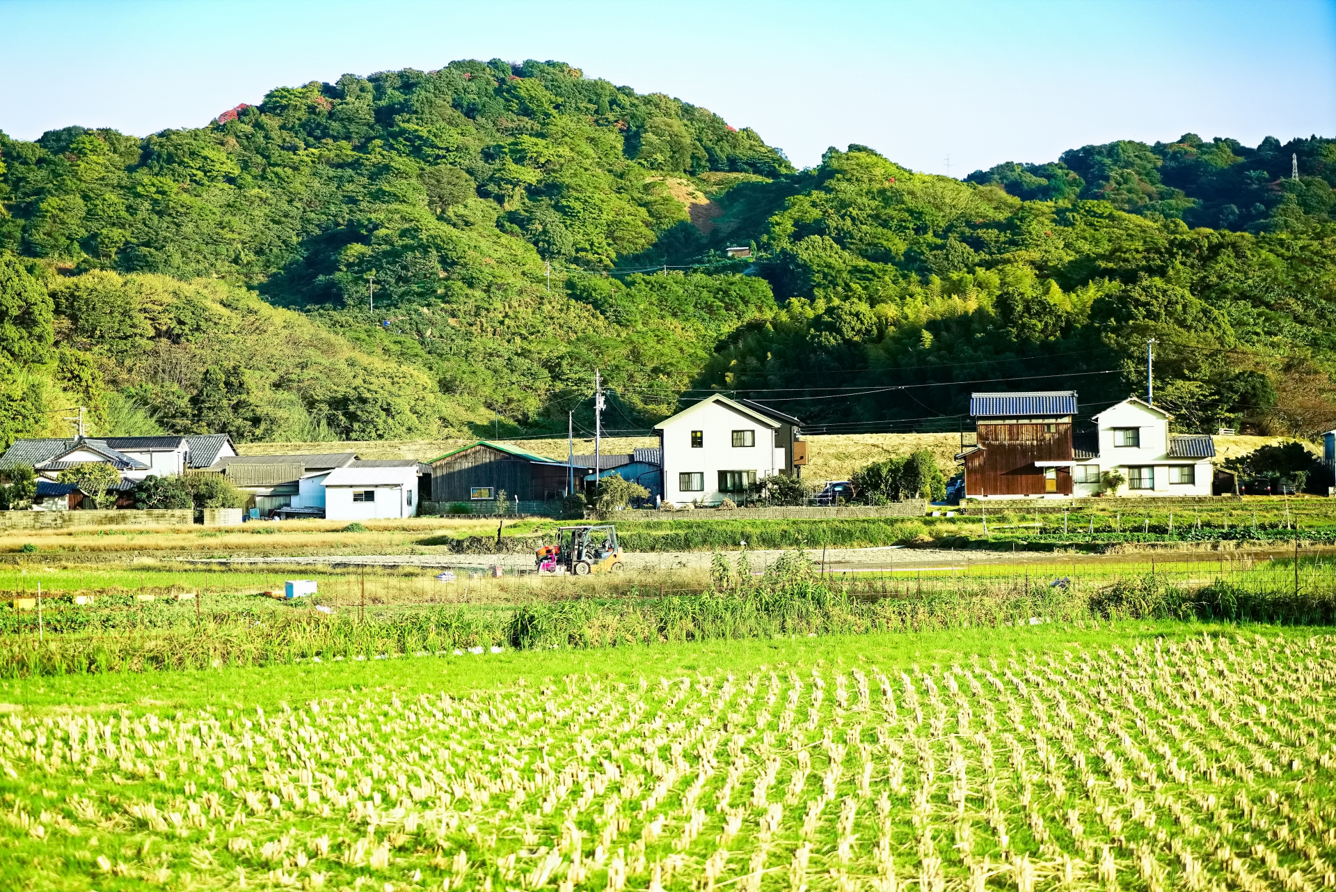 田舎の風景