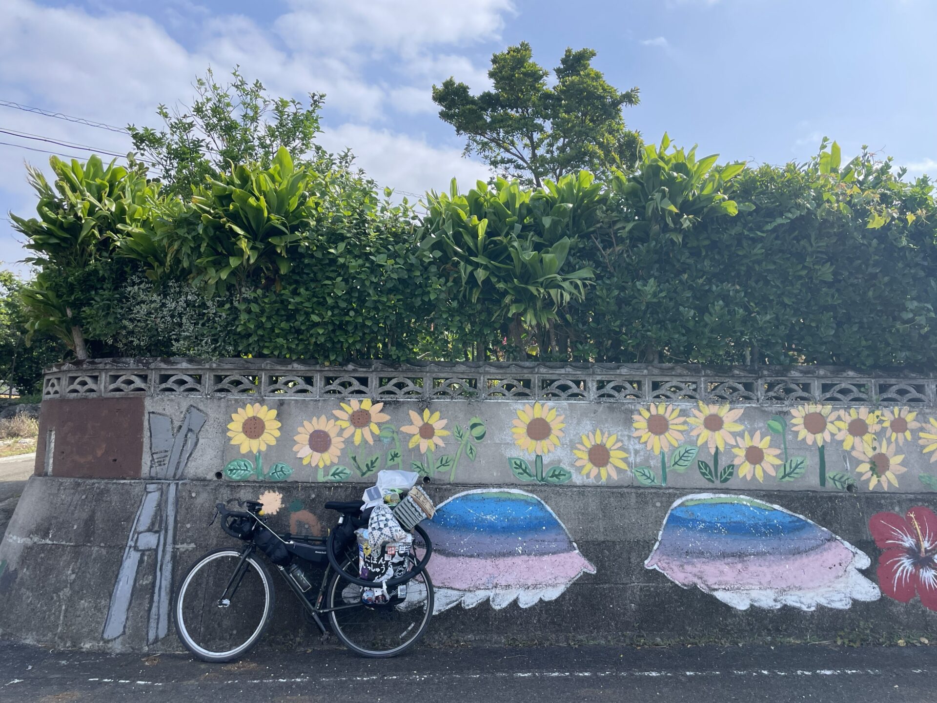 鹿児島県徳之島の壁画と自転車