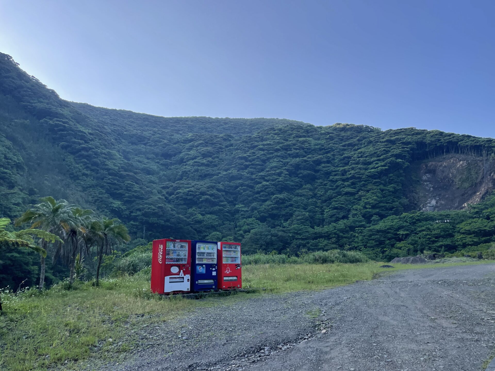 奄美大島の道路沿いにポツンと置かれた自販機
