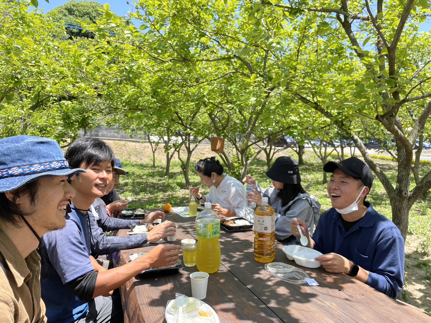 熊本の宮川洋蘭でおてつたびする様子